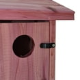 thumbnail image 5 of Pennington Red Cedar Bluebird Wild Bird House, 1 Pack, 5 of 26