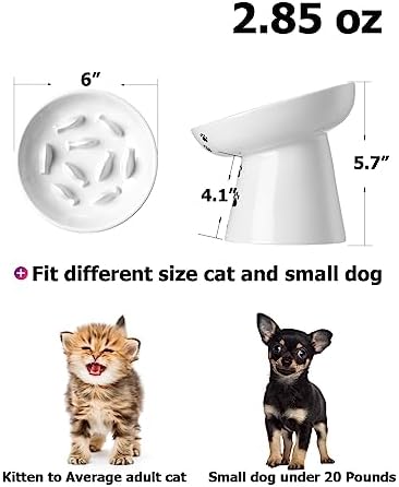 Slow Feeder Cat Bowl, Ceramic Cat Slow Feeder Bowl, 6 Inches, Elevated, Anti Vomiting for Dry and Wet Food, White