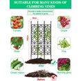 thumbnail image 2 of Kalolary Garden Trellis for Climbing Plants, Rustproof Vine Support Frame for Outdoor & Indoor Use, Ideal for Fruits, Vegetables, Flowers, and Potted Plants, 2 of 5