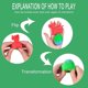 thumbnail image 4 of Dinosaur Squeeze Toys 4Pcs Dinosaurian Eggs Flip Toys Stress Relief Toys Random Color Stress Balls Novelty Fun Sensory Fidget Toys, 4 of 4