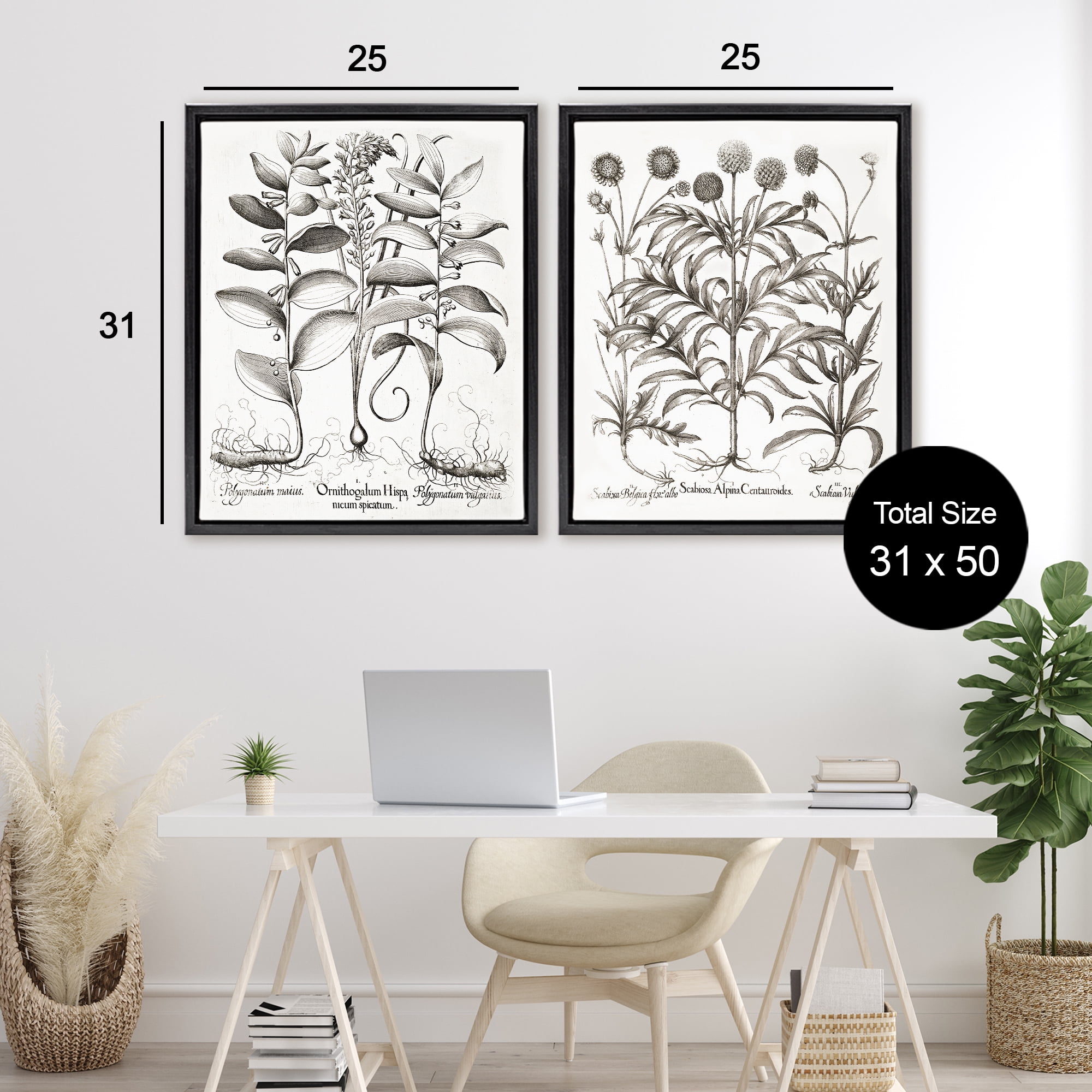 Botanical Root & Plant Studies 2 Piece Black Framed Floater Canvas Set, design by Lettered and Lined