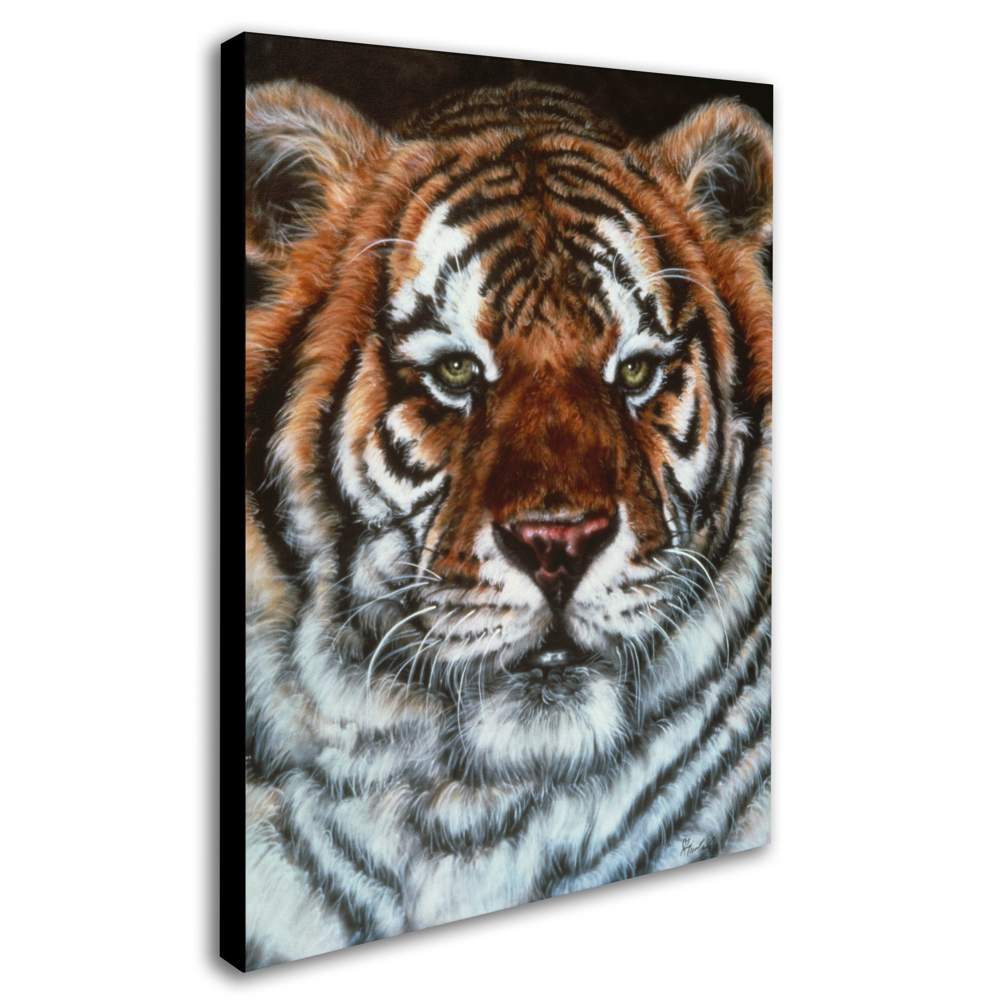 Trademark Fine Art 'Awesome Beauty' Canvas Art by Jenny Newland