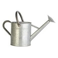 thumbnail image 2 of Vintage Galvanized Plant Container - 1 Gallon Aged Metal Watering Can - Garden Decor & Accessories - Rustic Farmhouse Style - Durable Powder Coated, 2 of 2