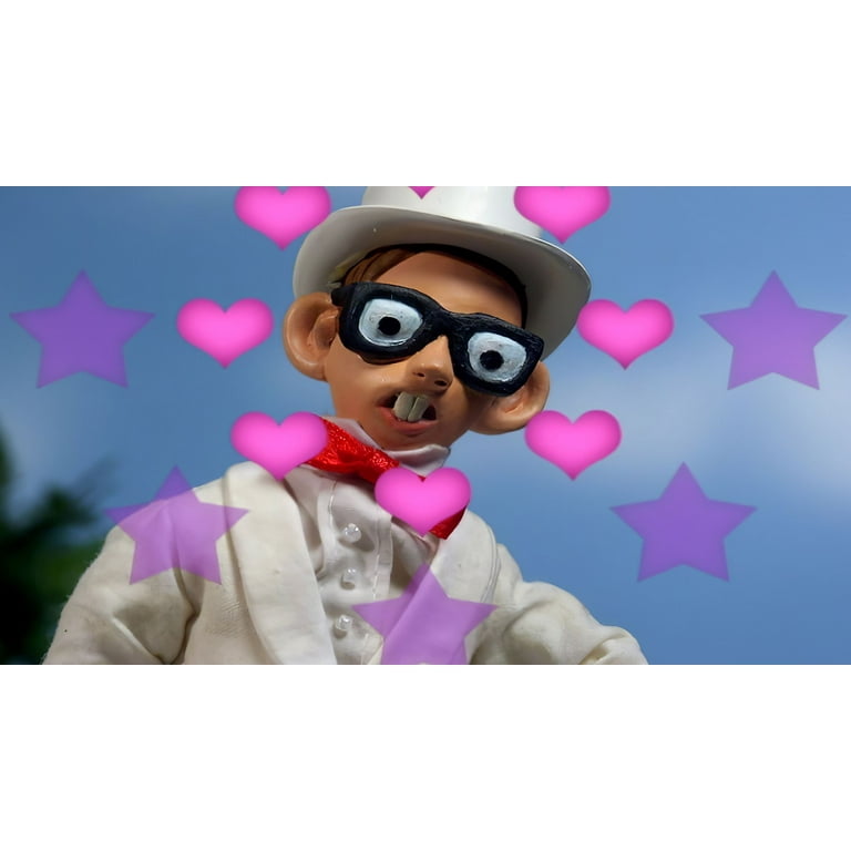 THE ROOSTERS IN THE MOTION DVD インザモーション THE ROOSTERS IN