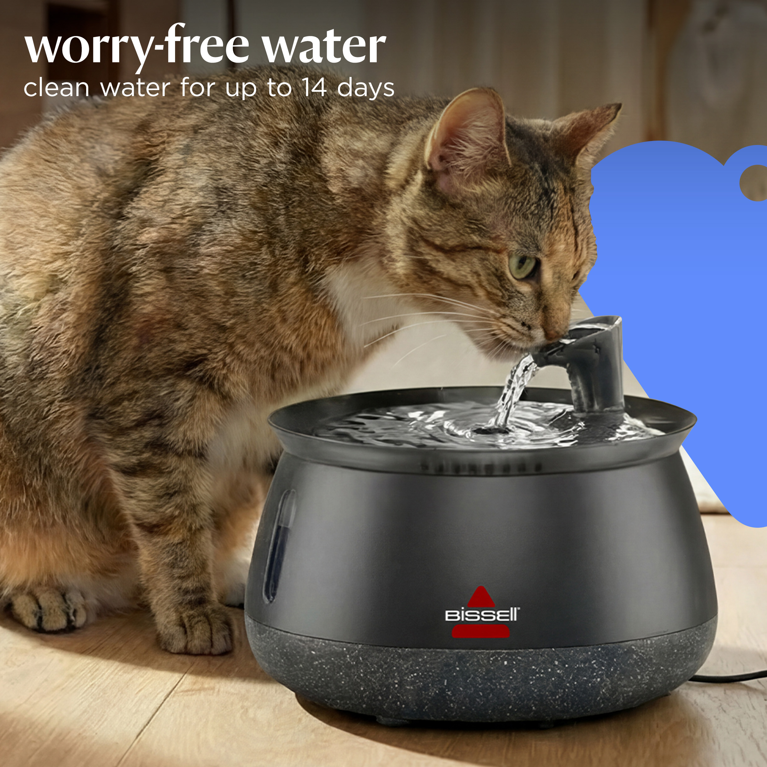 BISSELL HydrateWell Automatic Cat Water Fountain, Black photo 7