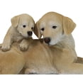thumbnail image 5 of Realistic Adorable Labrador Puppy Dog Cuddling with Its Mother Family Figurine, 5 of 9
