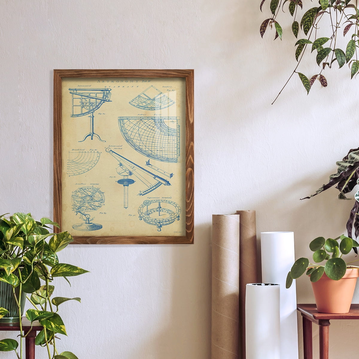 Vintage Astronomy I -Framed Print w/glass-Walnut