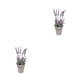 thumbnail image 4 of Advancent Belleza botánica con arreglo de flores artificiales Purificador de aire Arreglo Artificial Greener Artificial Bonsai Type2 NO2, 4 of 6
