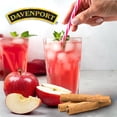 thumbnail image 3 of Tisana gourmet Davenport manzana canela 50 g, 3 of 3