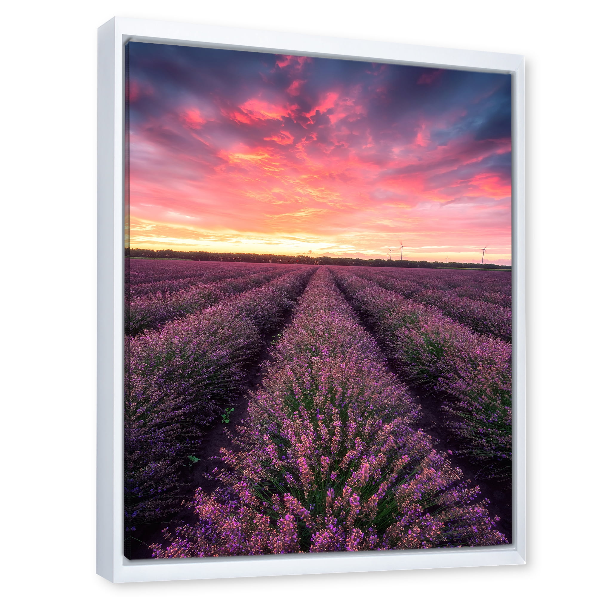 Designart 'Dramatic Clouds and Sunrise Over Lavender Field XIV' Farmhouse Framed Canvas Wall Art Print