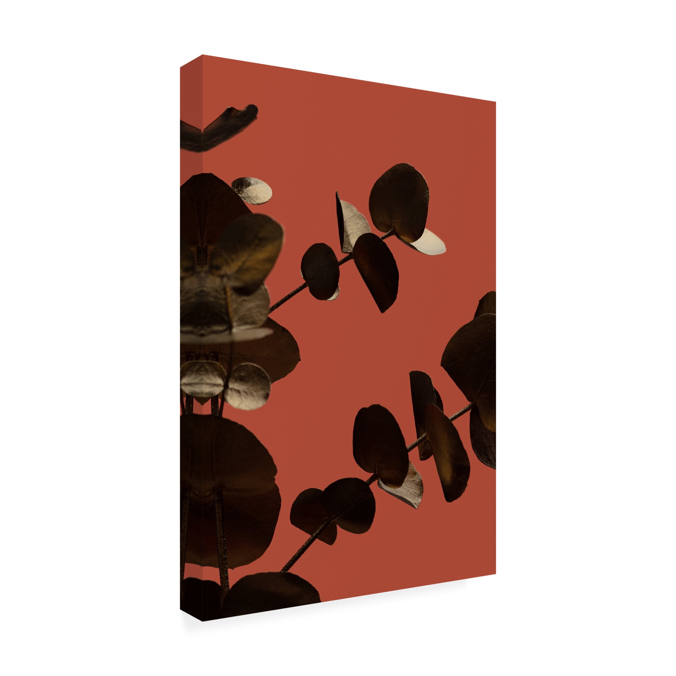 Canvas Wall Art - Pictufy Studio Iii 'Eucalyptus Gold Rust 02' Wall Art for Living Room, Bedroom, or Office D?cor by Trademark Fine Art - 30 x 47 Inches