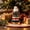Multicolor 03, variant on Artificial Tabletop Mini Christmas Tree 18 x 12 in - Freestanding Desktop Pine Christmas Tree with Round Base for Xmas Holiday Decorations Indoor Home Kitchen Dining Table