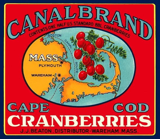 Cape Cod Cranberrie