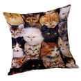 thumbnail image 3 of simhoa Animal Pattern Pillow Replacement Case Cover for Sofa Car Bed Accessory Cat Cat 60x60cm, 3 of 8