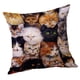 thumbnail image 4 of Funda de cojín cuadrada perfecl Automóvil Gato 60x60cm, 4 of 8
