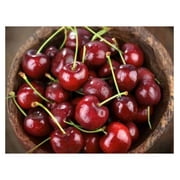 Dark Sweet Orchard Cherries 1.5lbs