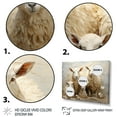 thumbnail image 3 of Designart "Textured Beige Sheep I" Animals Floater Framed Canvas Print, 3 of 7