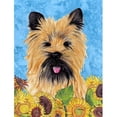 thumbnail image 1 of Carolines Treasures SC9057CHF Cairn Terrier Drapeau Toile Maison Taille, 1 of 4