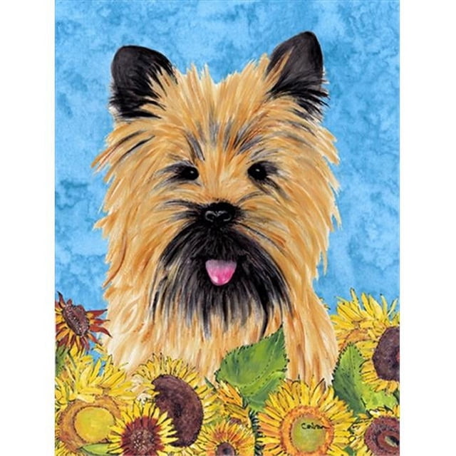 Carolines Treasures SC9057CHF Cairn Terrier Drapeau Toile Maison Taille