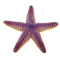 thumbnail image 1 of Modelo de animales de acuario marino Sunnimix Figuras de criaturas del océano, 1 of 7