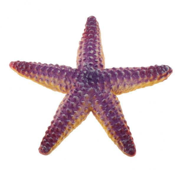 Modelo de animales de acuario marino Sunnimix Figuras de criaturas del océano