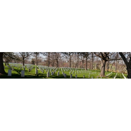 Headstones in a cemetery Arlington National Cemetery Arlington Virginia USA Canvas Art - Panoramic Images (36 x 12)