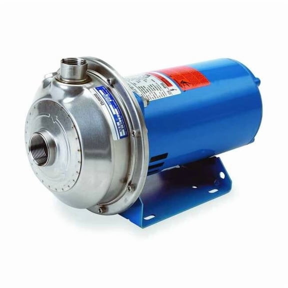 Goulds Stainless Steel 3/4 HP Centrifugal Pump 208-230/460V 100MS1D5D4