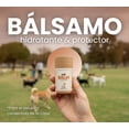 thumbnail image 2 of Pet Balm 60gr. | Bálsamo Hidratante para Nariz y Almohadillas de Perros Cuidado Diario, 2 of 9