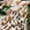 Floral-leaf, variant on Women's Plus Size Tie Dye Print Two Piece Outfits Sleeveless Bodycon Floral 2PCs Tank Crop Top and Skirts Sets