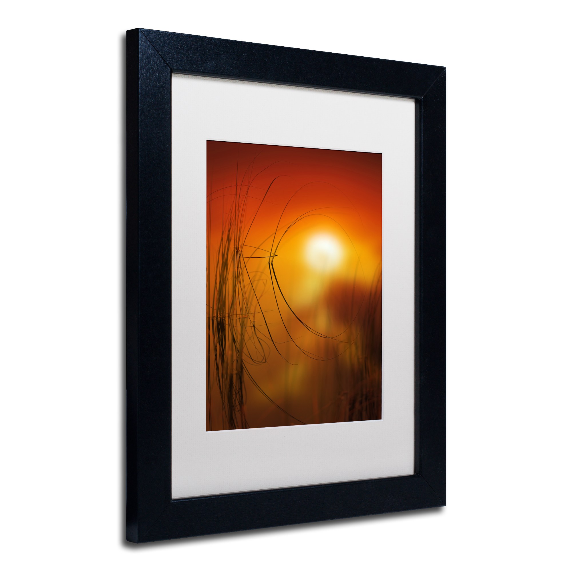 Trademark Fine Art "Nature Time Machine" Canvas Art by Philippe Sainte-Laudy White Matte, Black Frame