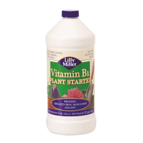 Lilly Miller Lily Miller Vita Start Quart