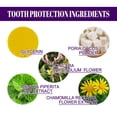 thumbnail image 4 of WIZUTIZ New Choice for Tooth Cleansing Fluoride Natural Tooth Cleansing Powder Small and Portable Environmentally Friendly and Fresh Breath Specially Free Size up to 50% Off, 4 of 5