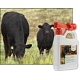 thumbnail image 4 of UltraCruz® Livestock Foaming Shampoo, 32 oz with Travel Applicator, 4 of 5