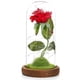 thumbnail image 1 of Flor de rosa artificial con luces LED Cúpula de vidrio sobre base de madera para siempre Flor de ros Abanopi Rojo, 1 of 7