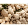 thumbnail image 5 of 20 Seeds JICAMA Mexican Yam Bean Potato Bean Pachyrhizus Erosus Vining Legume Root Vegetable Blue Flower Seeds, 5 of 11