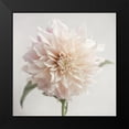 thumbnail image 2 of Jane, Sarah 20x20 Black Modern Framed Museum Art Print Titled - White Bloom From The Garden, 2 of 5