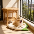 thumbnail image 5 of Cooling Pet Bed for Dogs & Cats with Non-Slide Chill Bottom, Washable Portable Pad, Suitable for Crate Sofa Floor, 15.7x11.8in by MPOISVA, 5 of 7