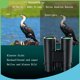 thumbnail image 3 of Los binoculares 12X42 son adecuados para adultos, equipados con un adaptador de teléfono universal, binoculares compactos HD a prueba de agua y niebla, adecuados para observación de aves,, 3 of 5