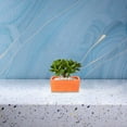 thumbnail image 2 of MOVTOTOP Rectangular Terracotta Flower Pot Small Clay Planter with Drainage Hole Rustic Pottery Flower Container for DIY Garden Plants Indoor Windowsill Decoration, 2 of 8