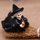 thumbnail image 4 of Seyotauo Halloween Mini Resin Figurines for Crafts, Miniature Skull Ghost Pumpkin Figures to Hide Tiny Village Collections Bulk for Holiday Party Favor Table Indoor Garden Dollhouse Decorations, 4 of 6