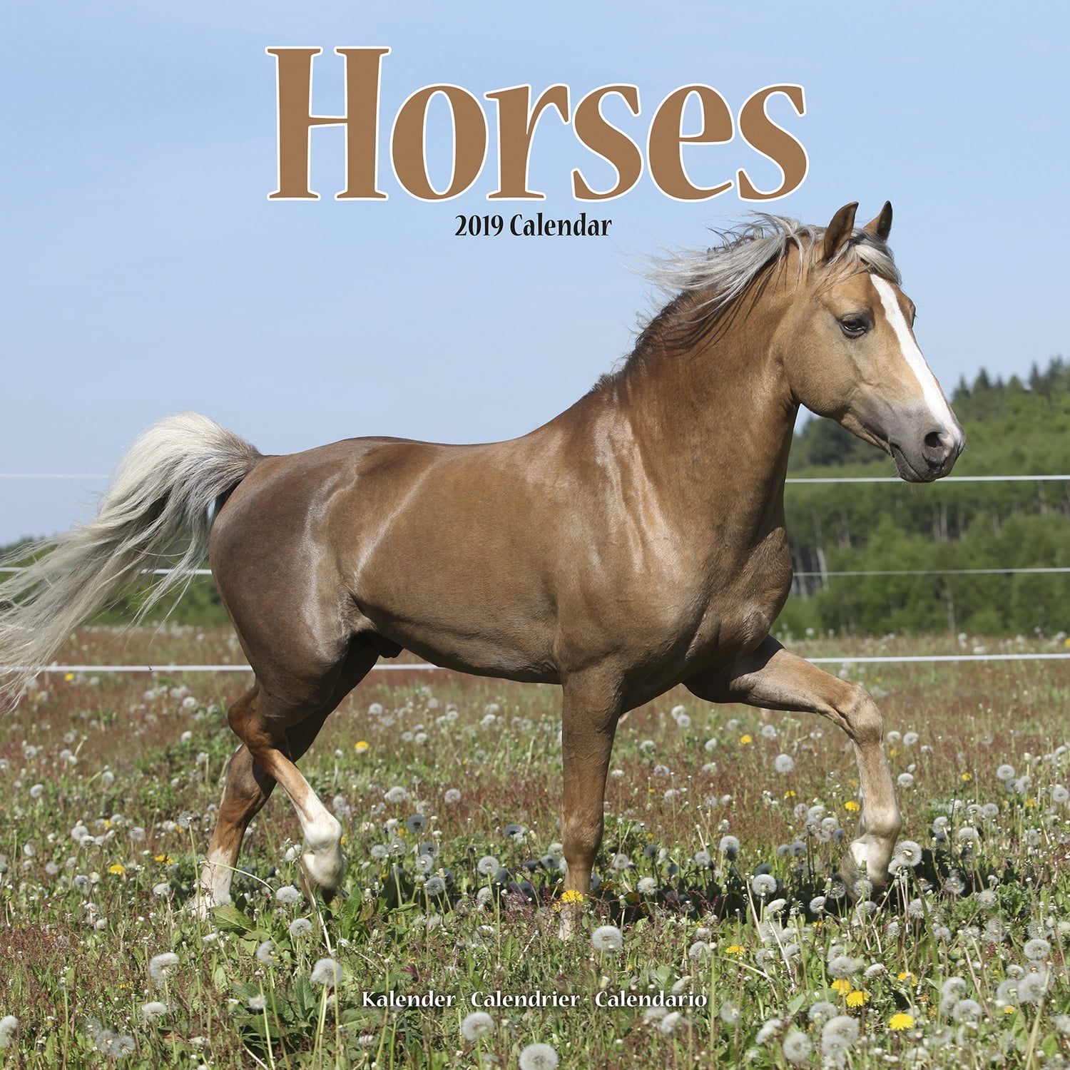 Horses Wall Calendar 2019