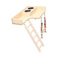 thumbnail image 3 of pitrice Pet Bird Parrot Playground Wooden Ladder Toy Interactive Platform Accessory, 3 of 9