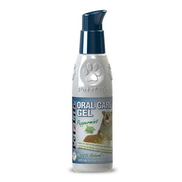 Dog Cat Dental Oral Health Gel Natural Peppermint or Salmon Choose