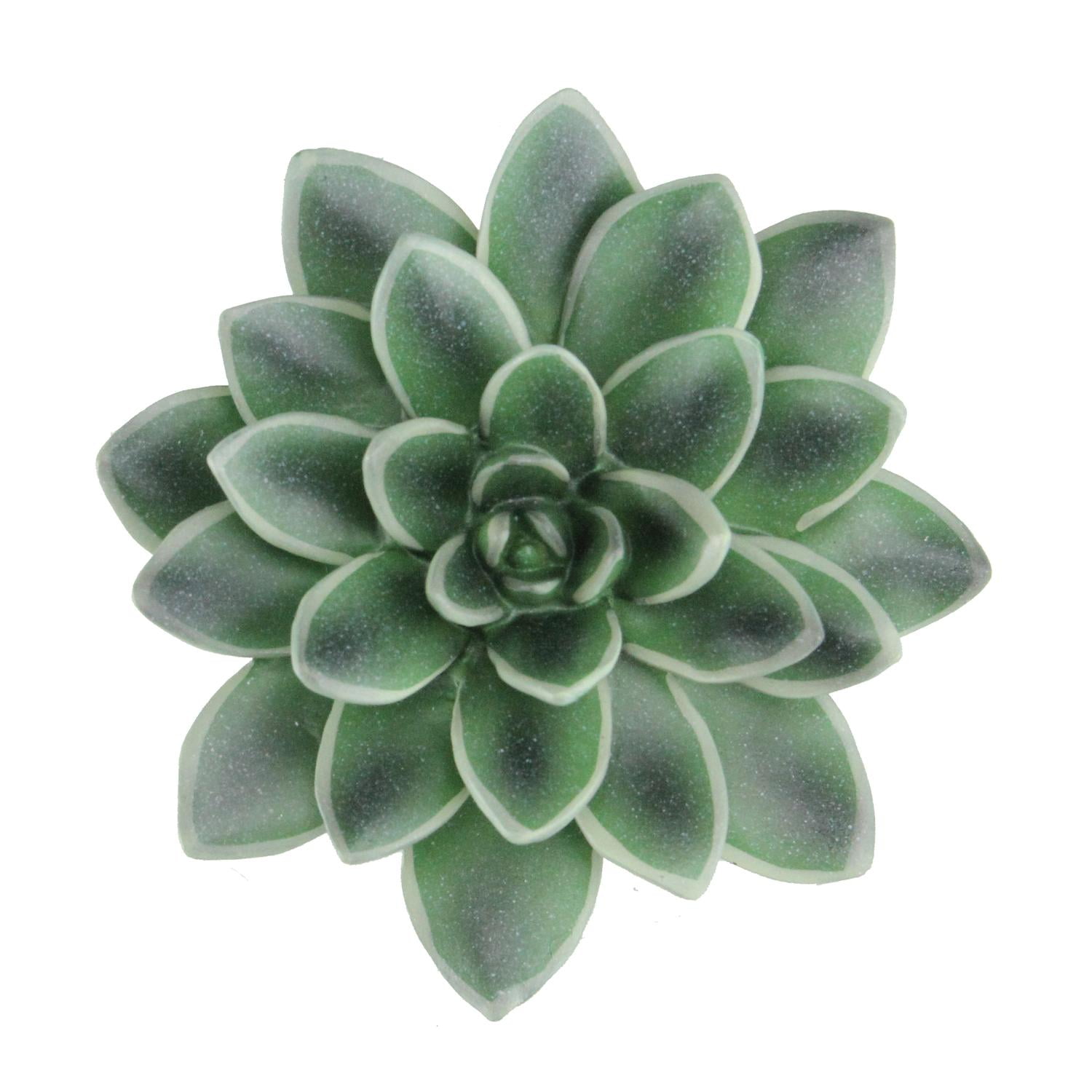 5 Decorative Black Prince Faux Succulent Wall Decoration