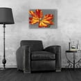 thumbnail image 3 of Epic Art 'Tulip Portrait II' by Tim O'Toole, Acrylic Glass Wall Art, 24"x16", 3 of 3