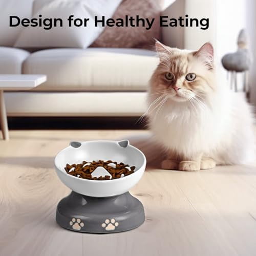 Slow Feeder Cat Bowl, Ceramic Elevated Cat Bowl Tilted Design Slow Feeder for Dog and Cat for Dry and Wet Food, Gray
