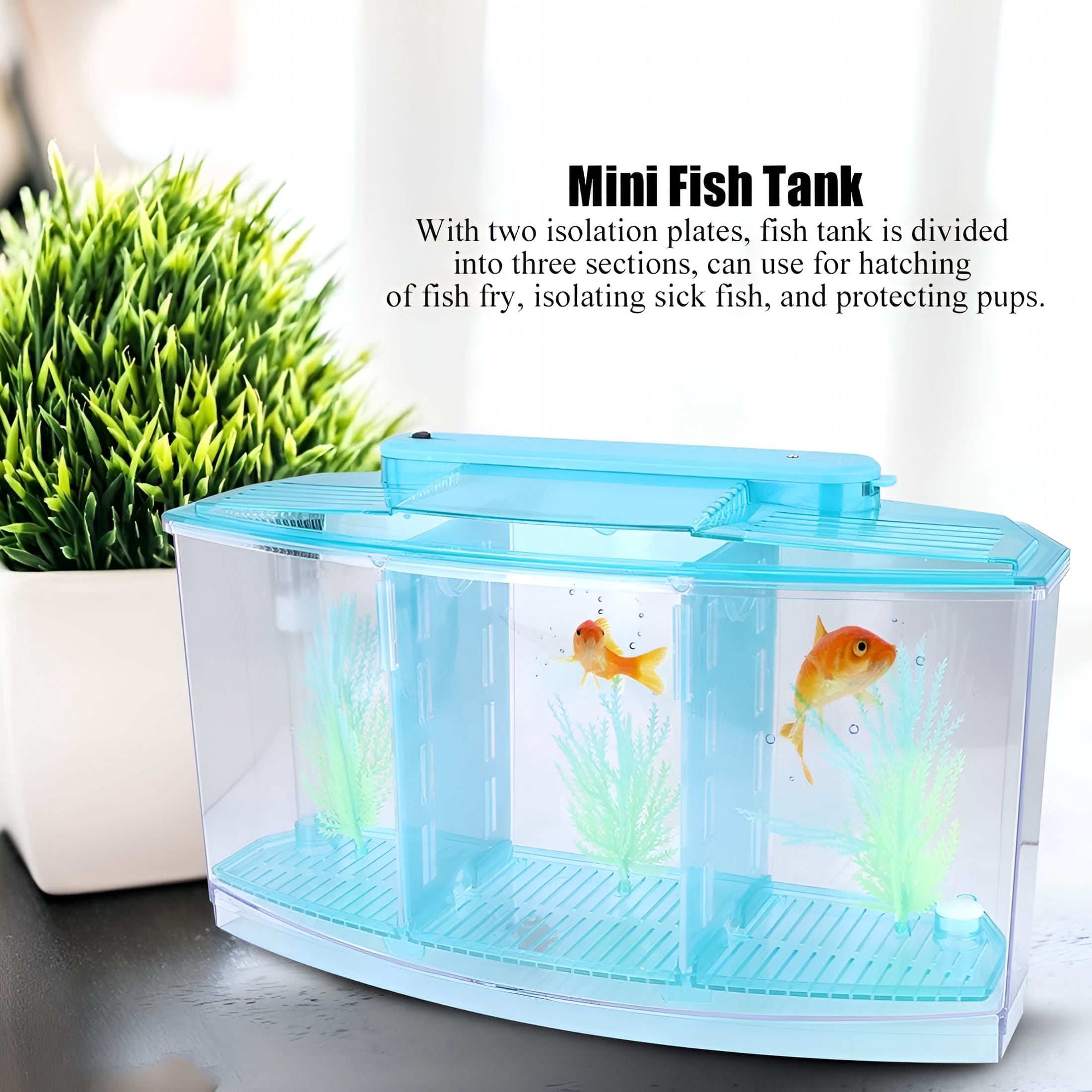 ACDANC Mini Aquarium Fish Tank with LED Light Divider Filter Betta Fish Tank for Small Fish, Betta, Shrimp Desktop Decoration 28x10x15cm