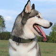 thumbnail image 4 of Heavy Duty Dog Collar, Adjustable Nylon Collar with Quick Release Buckle for Small Medium Large Dogs Walking Training, 4 of 9