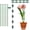11 inch 5pcs, variant on Plant Stakes for Indoor Plants, Adjustable Plant Support Sticks with Clips & Plant Ties, Indoor Outdoor Garden Poles for Monstera Tomato Orchid Rose Potted Flowers Vegetables (17 inch 5pcs)