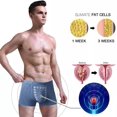 thumbnail image 5 of Ropa interior para hombre con terapia de campo energético Eft, 3 piezas/juego, calzoncillos tipo bóxer para hombre, calzoncillos tipo bóxer con ajuste magnético, parte inferior transpirable, pantalón, 5 of 5